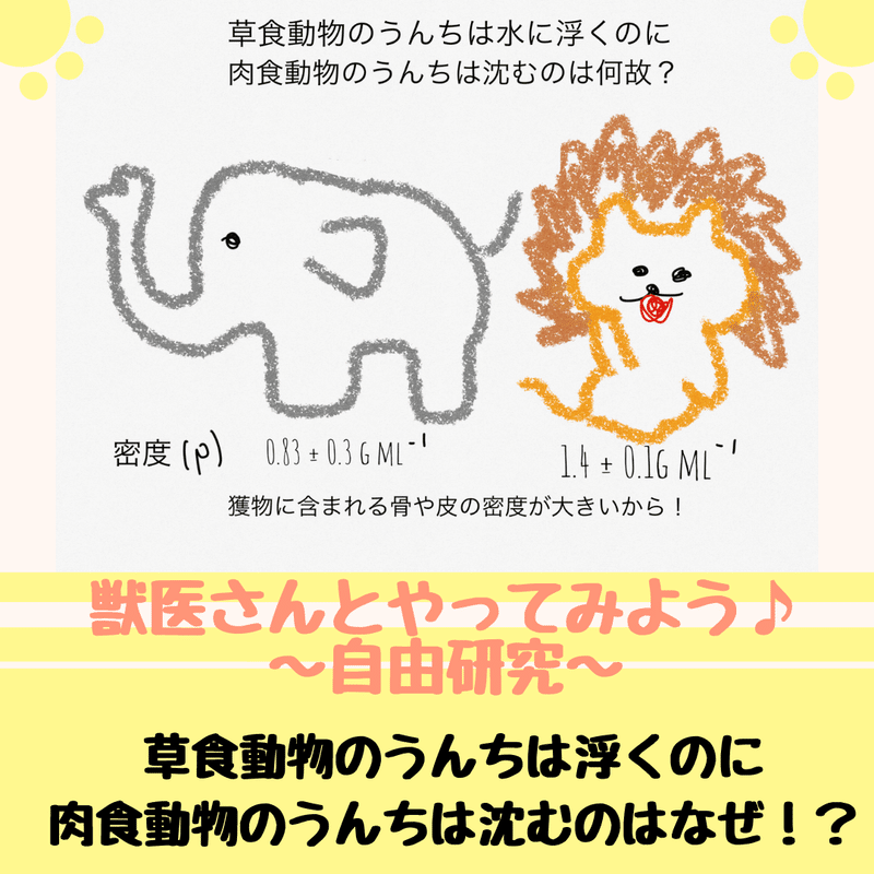 草食動物のうんちは浮くのに肉食動物のうんちは沈むのはなぜ 獣医師ふーの 獣医さんとやってみよう自由研究 Note 草食動物のうんちは浮くのに肉食動物のうんちは沈むのはなぜ 獣医師ふーの 獣医さんとやってみよう自由研究 Note