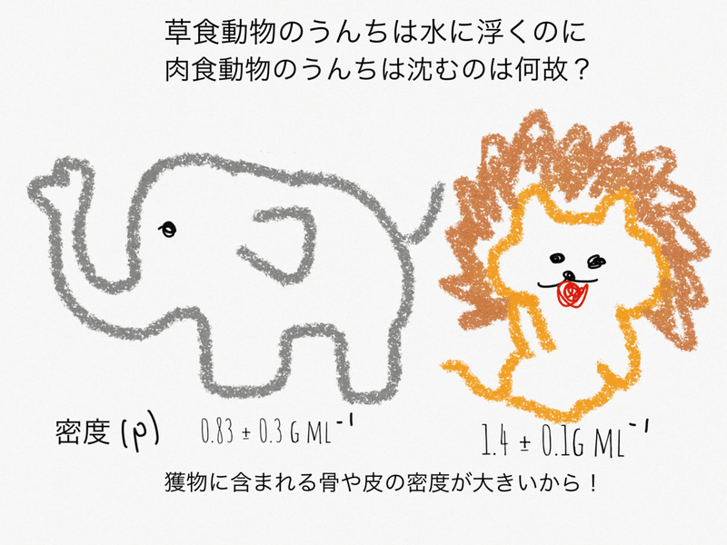 草食動物のうんちは浮くのに肉食動物のうんちは沈むのはなぜ 獣医師ふーの 獣医さんとやってみよう自由研究 Note