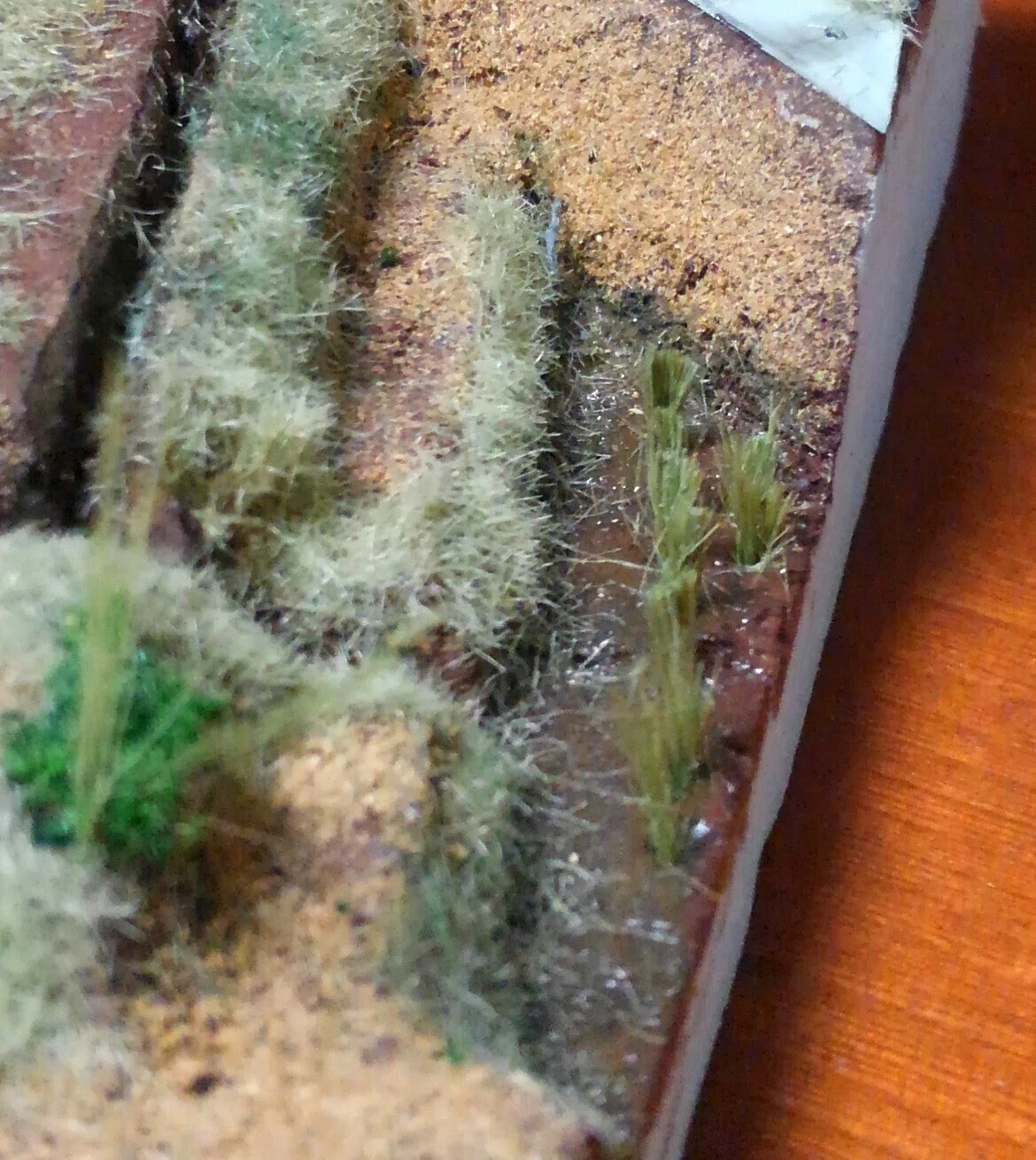 画像11
