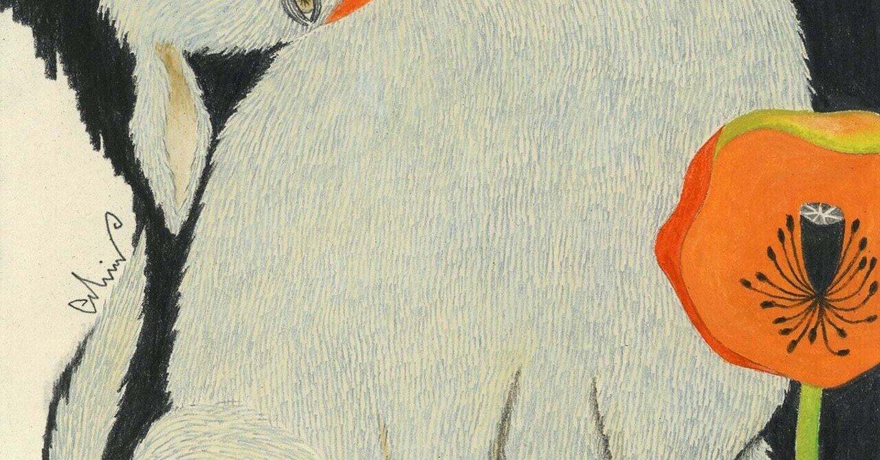 不思議な世界」｜森田MiW