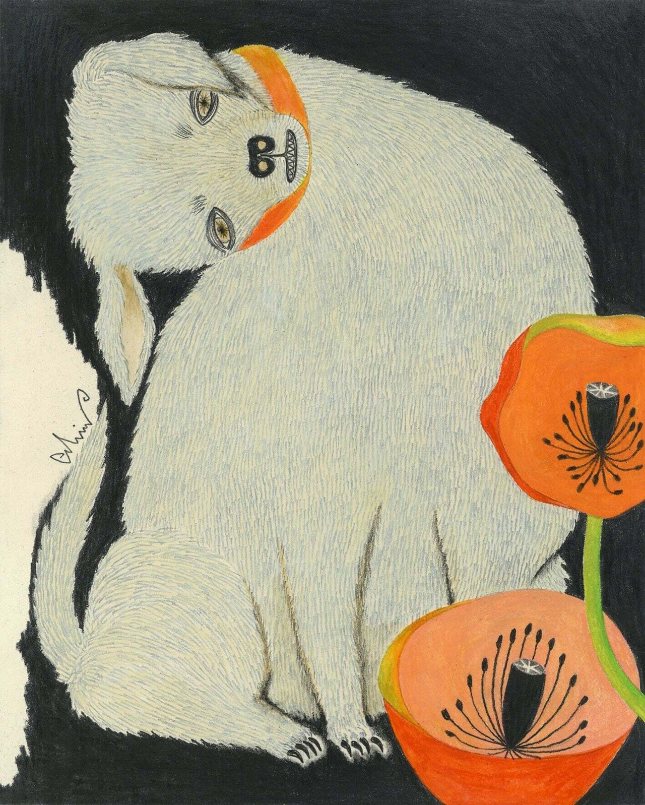 不思議な世界 森田miw Note 不思議な世界 森田miw Note