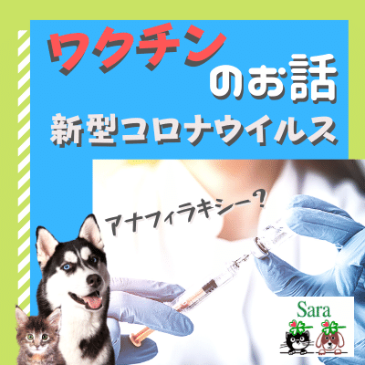 新型コロナウイルスのワクチン アナフィラキシーが多い 日本のほか 韓国 香港 欧米の事情 ワクチンは変異ウイルスにも効くの 私がもしも打つなら のワクチンにします なぜなら ワクチン ホリスティック獣医sara Note 新型コロナウイルスのワクチン アナフィラキシーが多い 日本のほか 韓国 香港 欧米の事情 ワクチンは変異ウイルスにも効くの 私がもしも打つなら のワクチンにします なぜなら ワクチン ホリスティック獣医sara Note