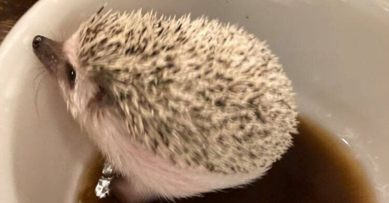 マコモのお風呂 足湯 マリッペラボ Note マコモのお風呂 足湯 マリッペラボ Note