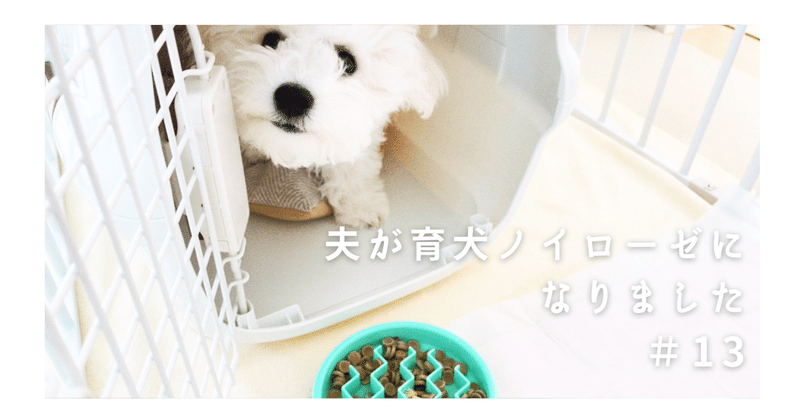 夫が育犬ノイローゼになりました ボナママ Note 夫が育犬ノイローゼになりました ボナママ Note