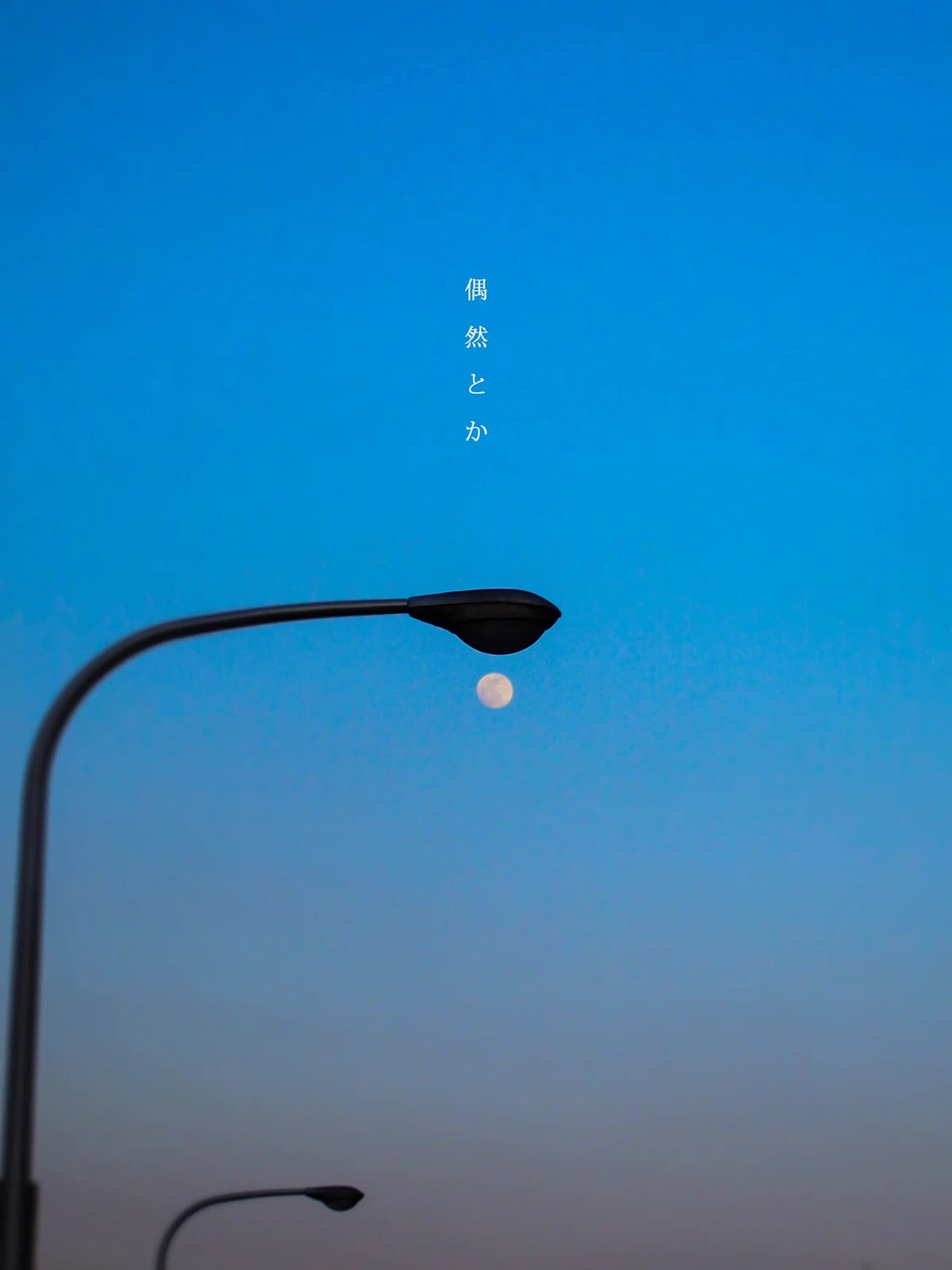偶然4