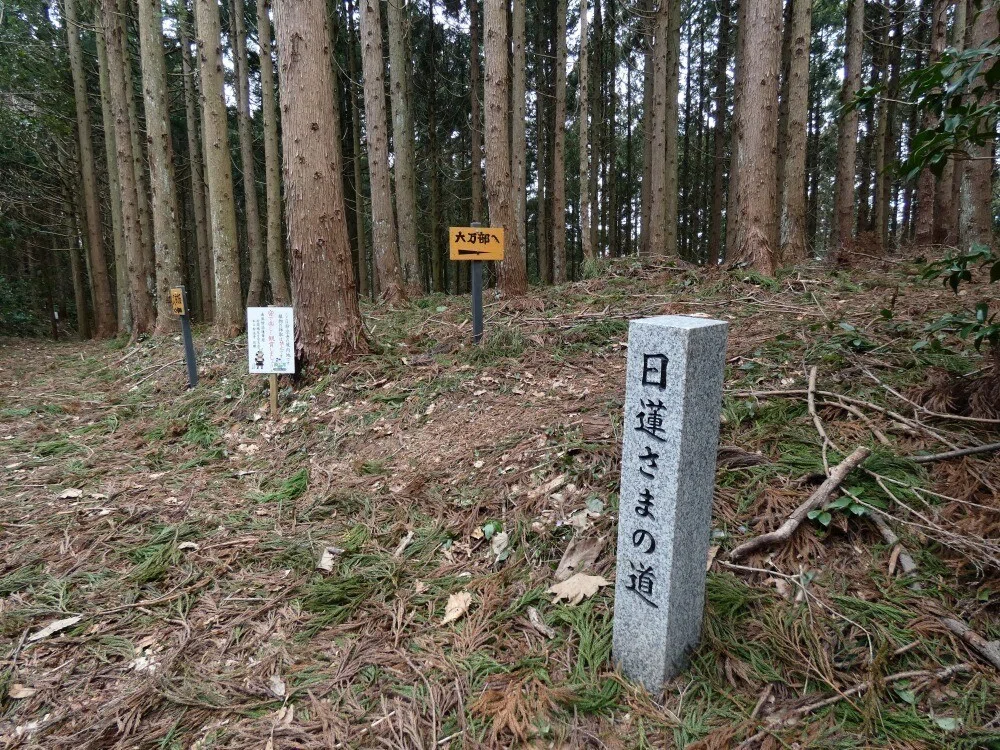 画像10