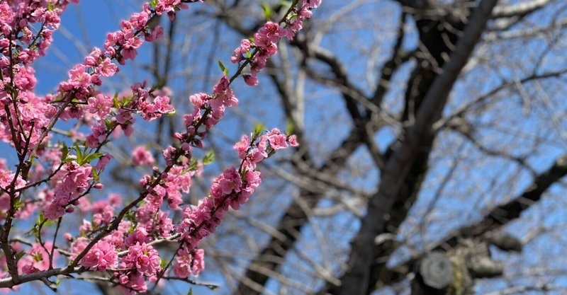 気持ちが煮詰まった時は