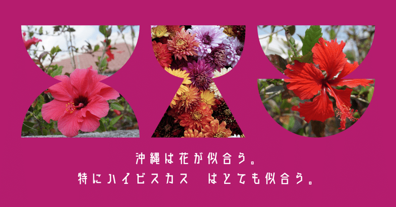 沖縄は花が似合う 特にハイビスカス はとても似合う Tatsuya Sato のみやimadomare イマドマーレ 21open Note 沖縄は花が似合う 特にハイビスカス はとても似合う Tatsuya Sato のみやimadomare イマドマーレ 21open Note