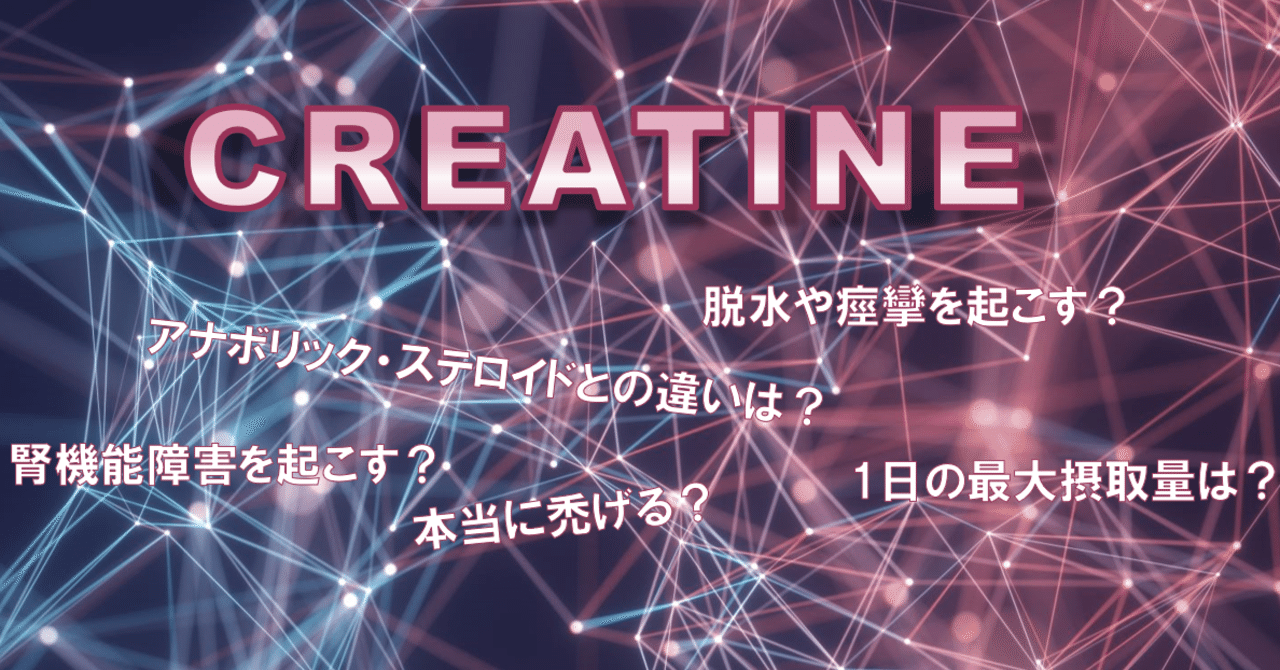 クレアチン摂取に関する一般的な誤解とこれまでの科学的根拠のまとめ Lifting The Apex Note