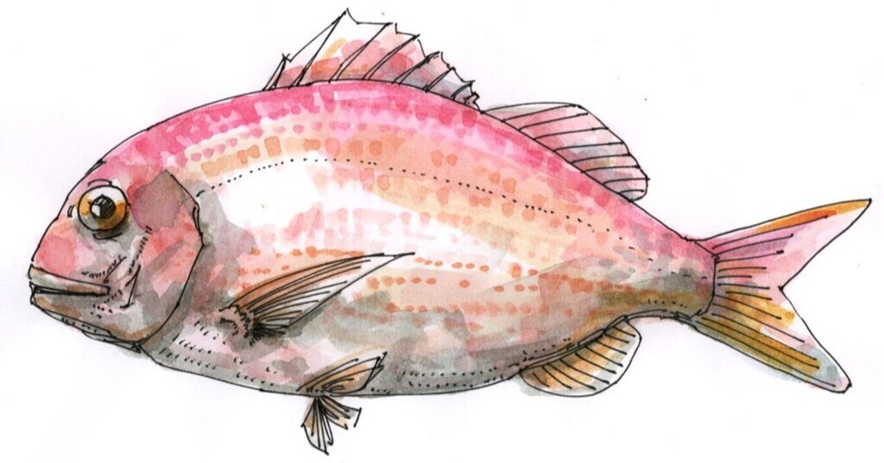 コピー用紙に描く水彩画 武田 満 Note