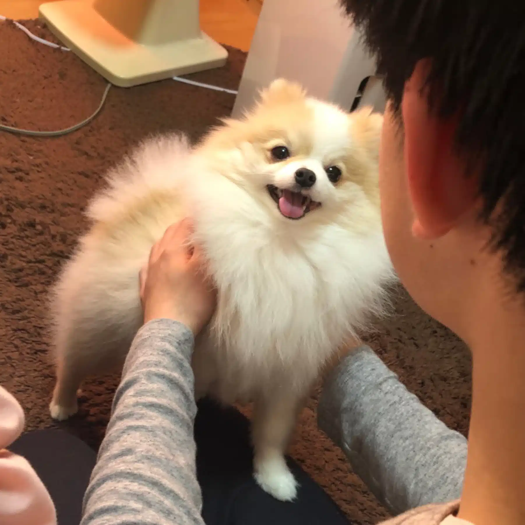 Leo