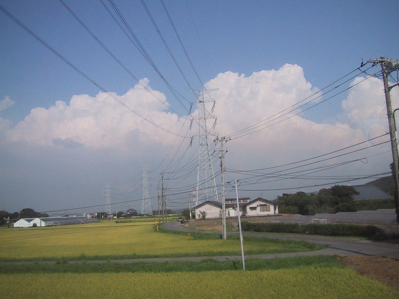 ノスタルジーの夏 カレーたまご Note