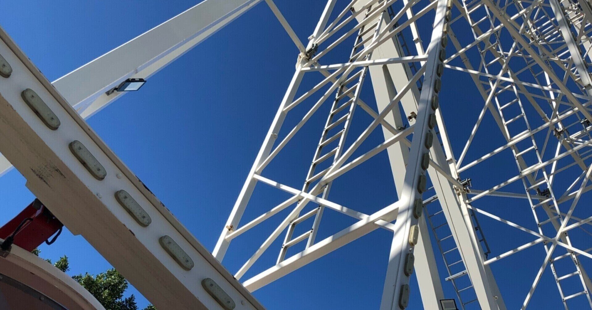 我が家のハムスターに柴犬を対面させたら この世の終わり みたいな顔をしていた やまざき Nftが欲しいwebライター Note