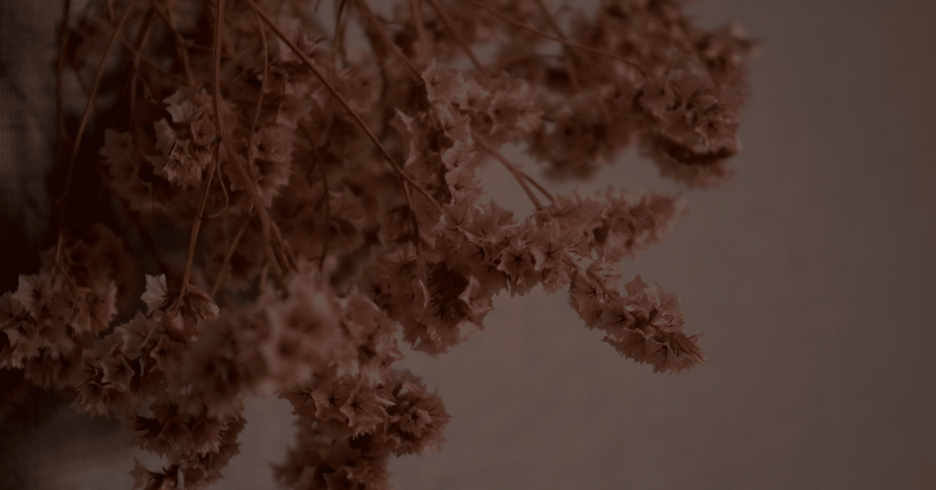 エヴァンゲリオン大予想大会 奥利根しずる Note