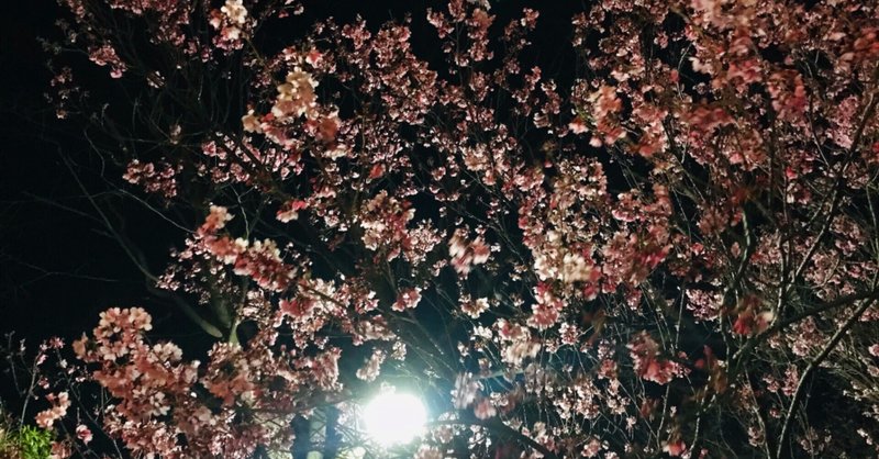 桜の時 楠田 明日美 Note 桜の時 楠田 明日美 Note