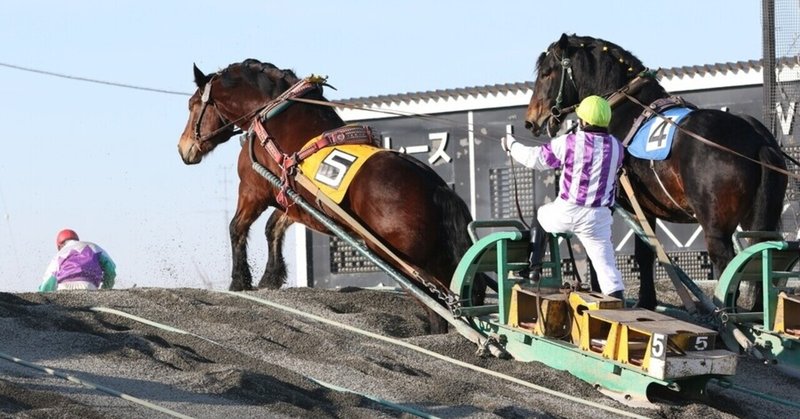 ばんえい 競馬 予想 面白い ニュース