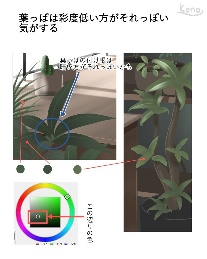 背景ワンドロ 植物部屋の描き方 背景イラスト配布中 コノハ Note 背景ワンドロ 植物部屋の描き方 背景イラスト配布中 コノハ Note