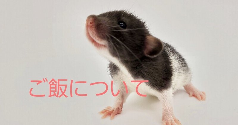 ファンシーラットの飼い方 の新着タグ記事一覧 Note つくる つながる とどける