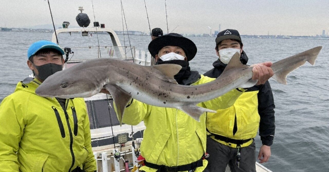 21 03 14 日 18 30 緊急sos 池の水ぜんぶ抜く大作戦 東京湾でサメを釣る 日曜ビッグバラエティ テレ東電鉄 テレビ東京公式 Note