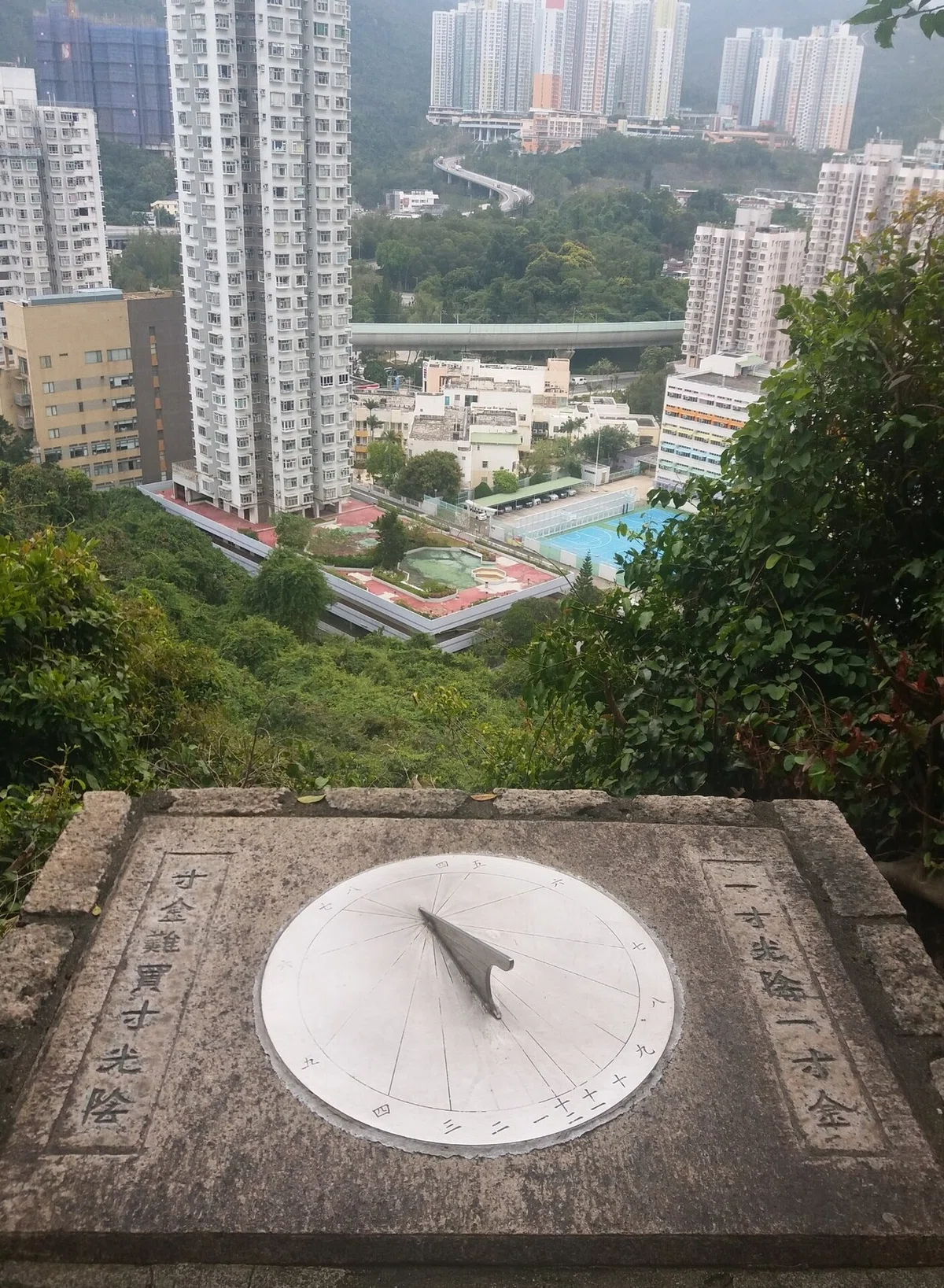 画像7