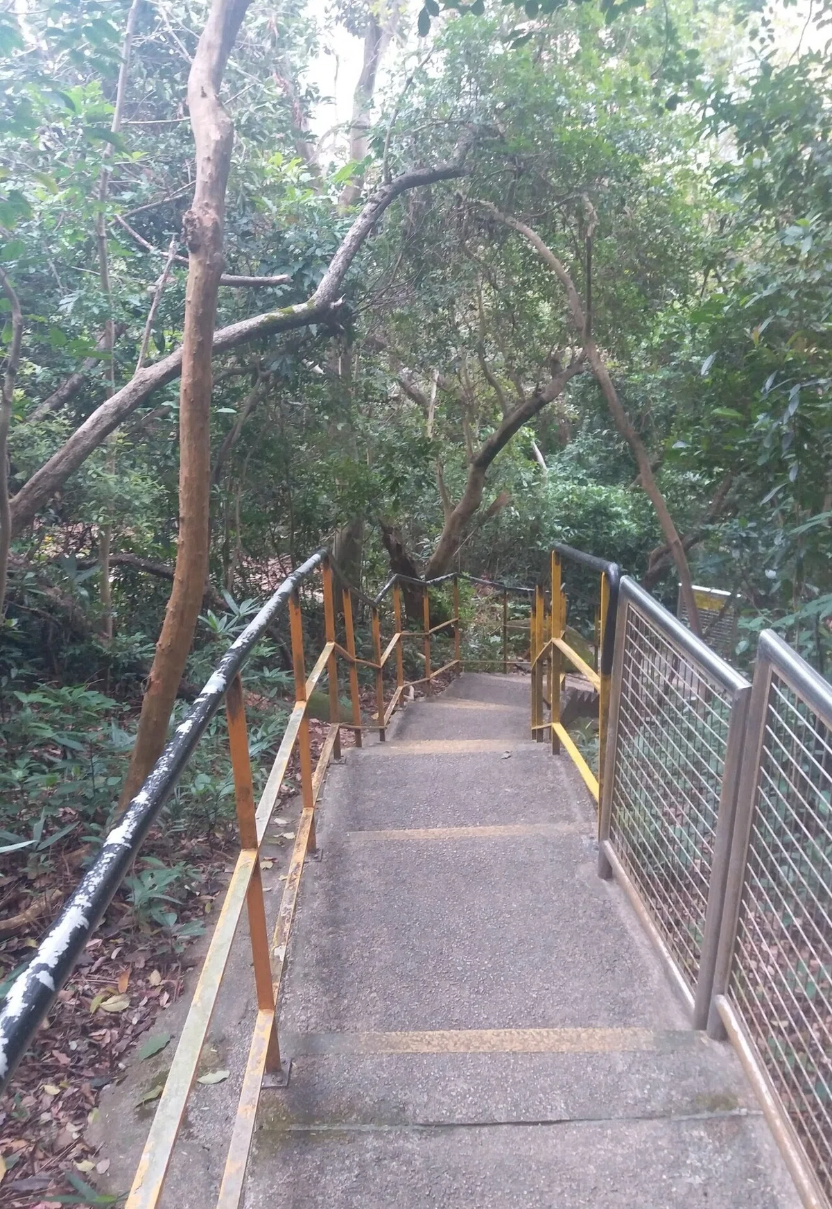 画像8
