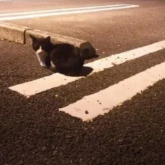 お茶