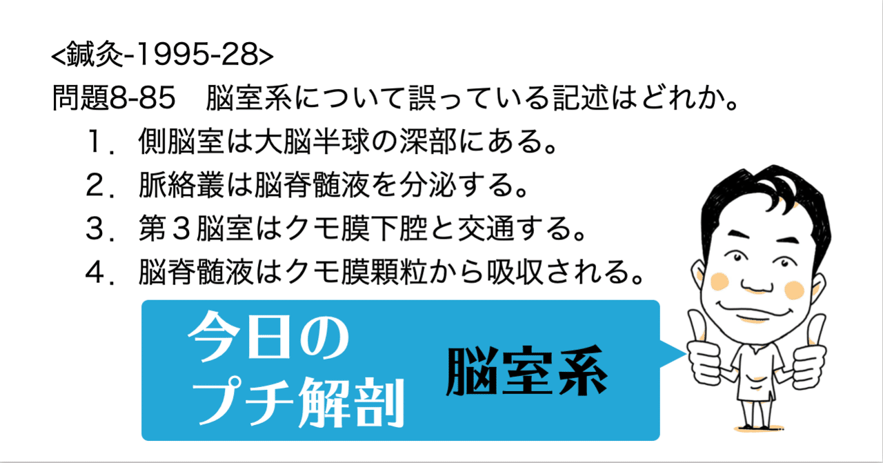 今日のプチ解剖：脳室系について誤っているのはどれ？｜かずひろ先生