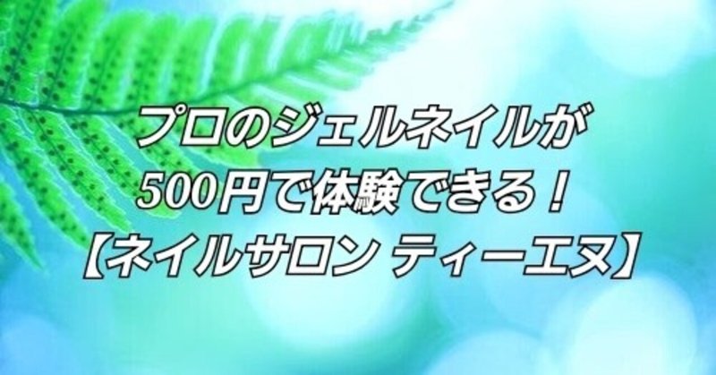 プロのジェルネイルが500円で体験できる ネイルサロン ティーエヌ なやん フォロバ100 月間目標 35万pv 収益万 フォロワー数1万人 Note