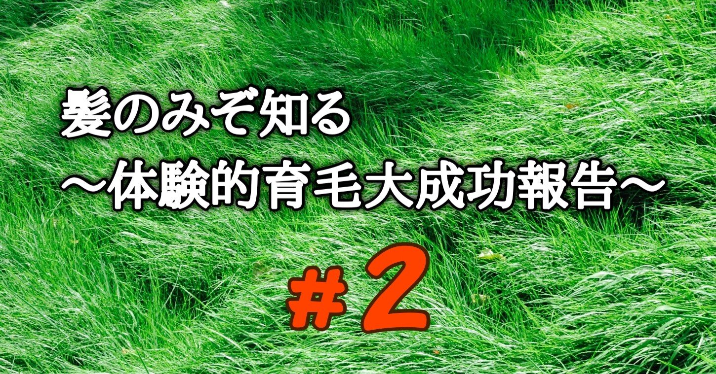 髪のみぞ知る ２ 体験的育毛大成功報告 Hakase Note