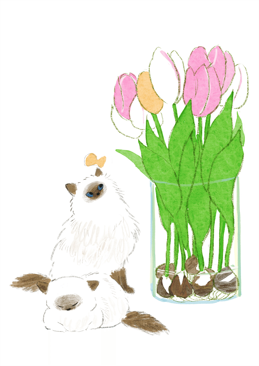 春の香り ももろ Illustrator 絵本 Note