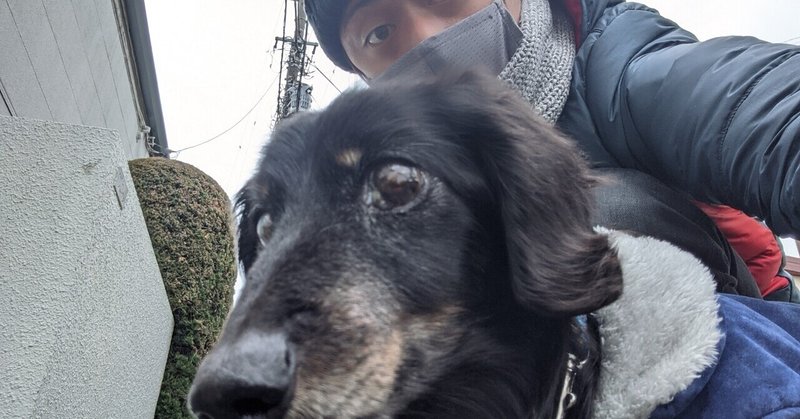 マルクが痙攣起こして倒れた時の事 結果無事ですのでご安心下さい 中村圭佑 Note