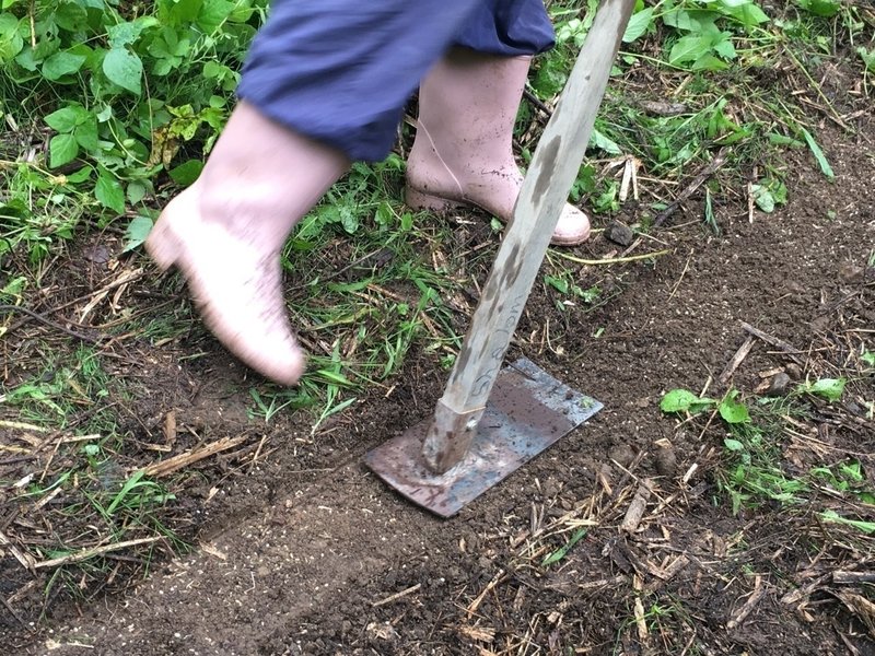 自然農とかまどの会レポート Shanthi Usui Note