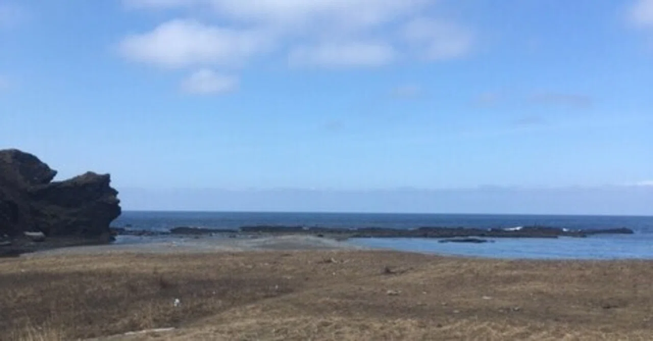 21年一発目の釣行 サクラマスとアメマスin Hokkaido Tetsuyaoriginal Note