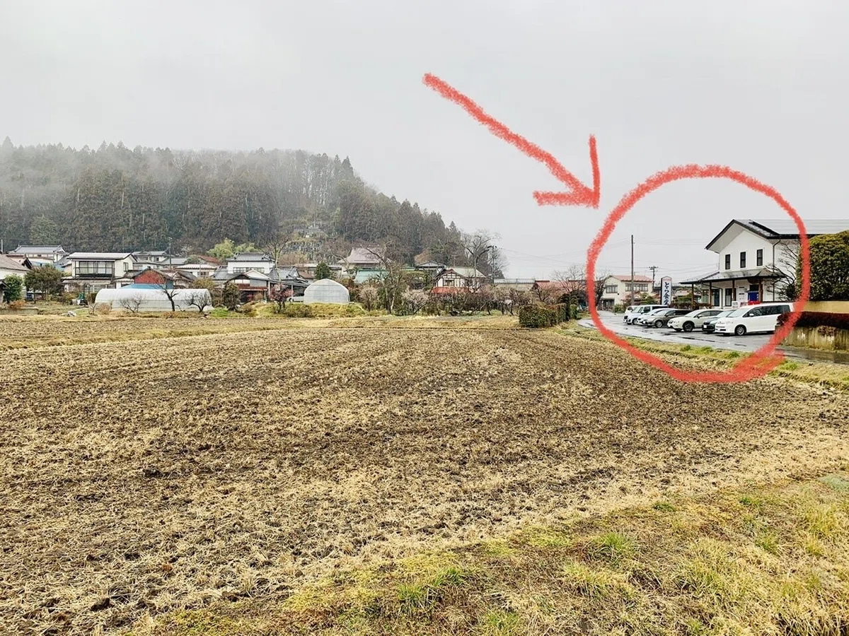 画像1