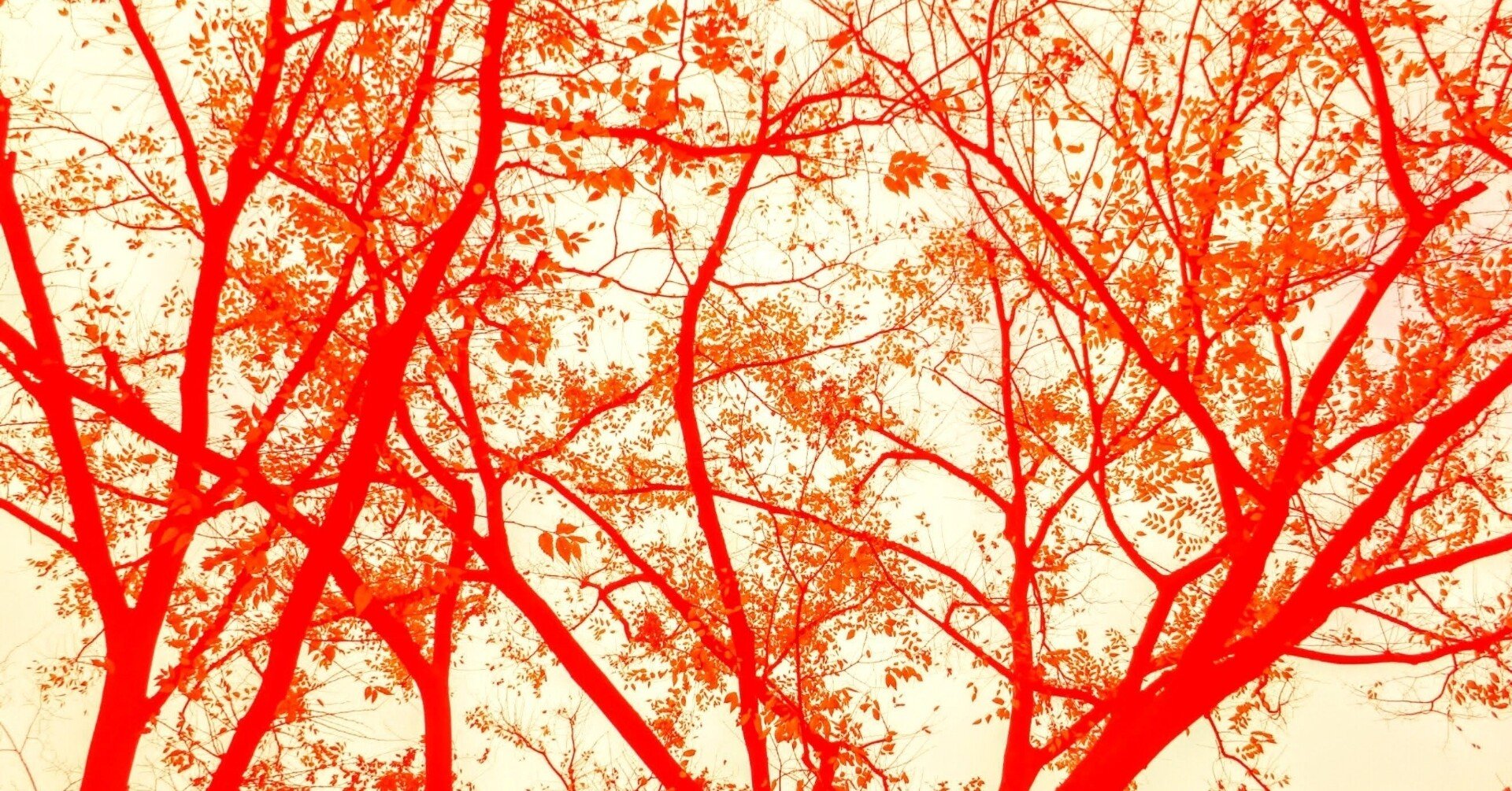 仕事報告 おすすめグロ漫画15選 まさみ Note