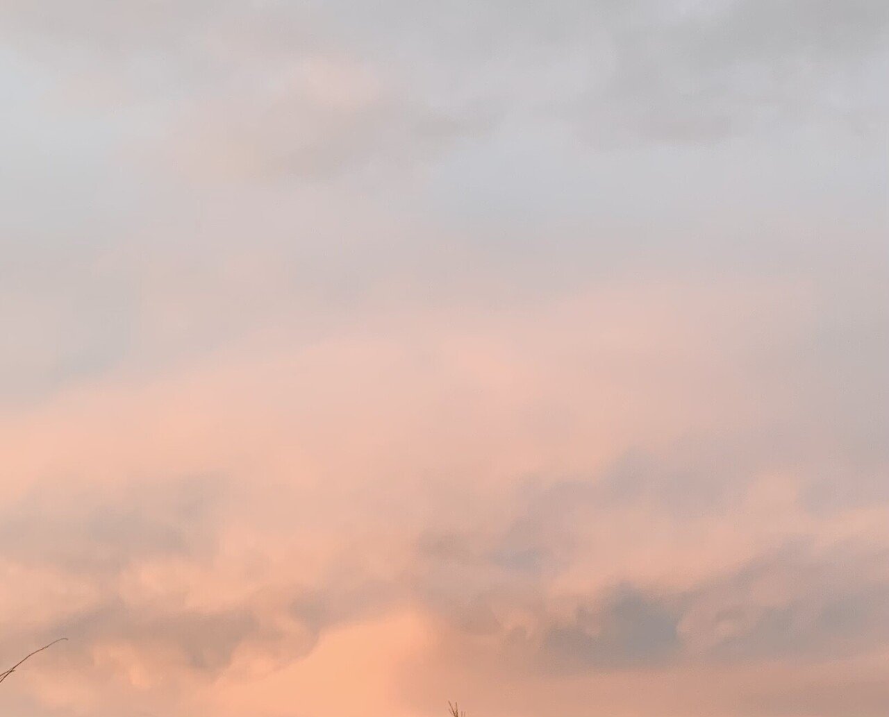 昨夜からの雨がやっと上がりました 明日は天気も体調も 少しは良くなるかな 花 Note