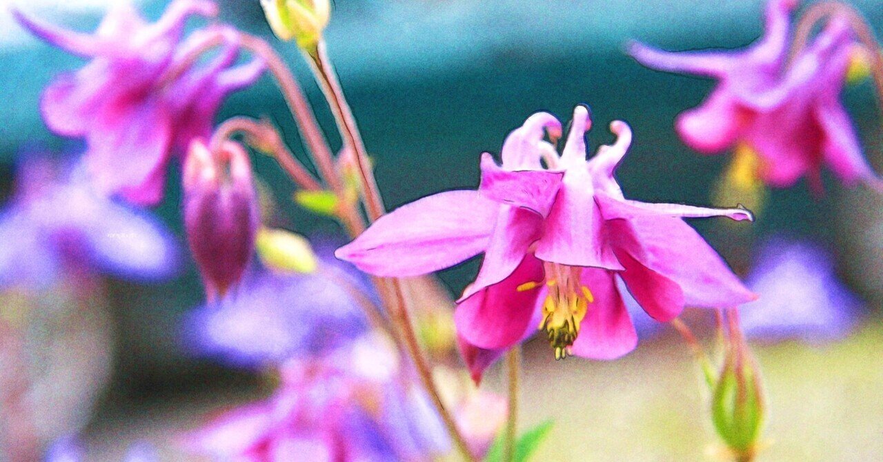 3月13日 誕生花は碇草 誕生花短歌 御子柴 流歌 Note