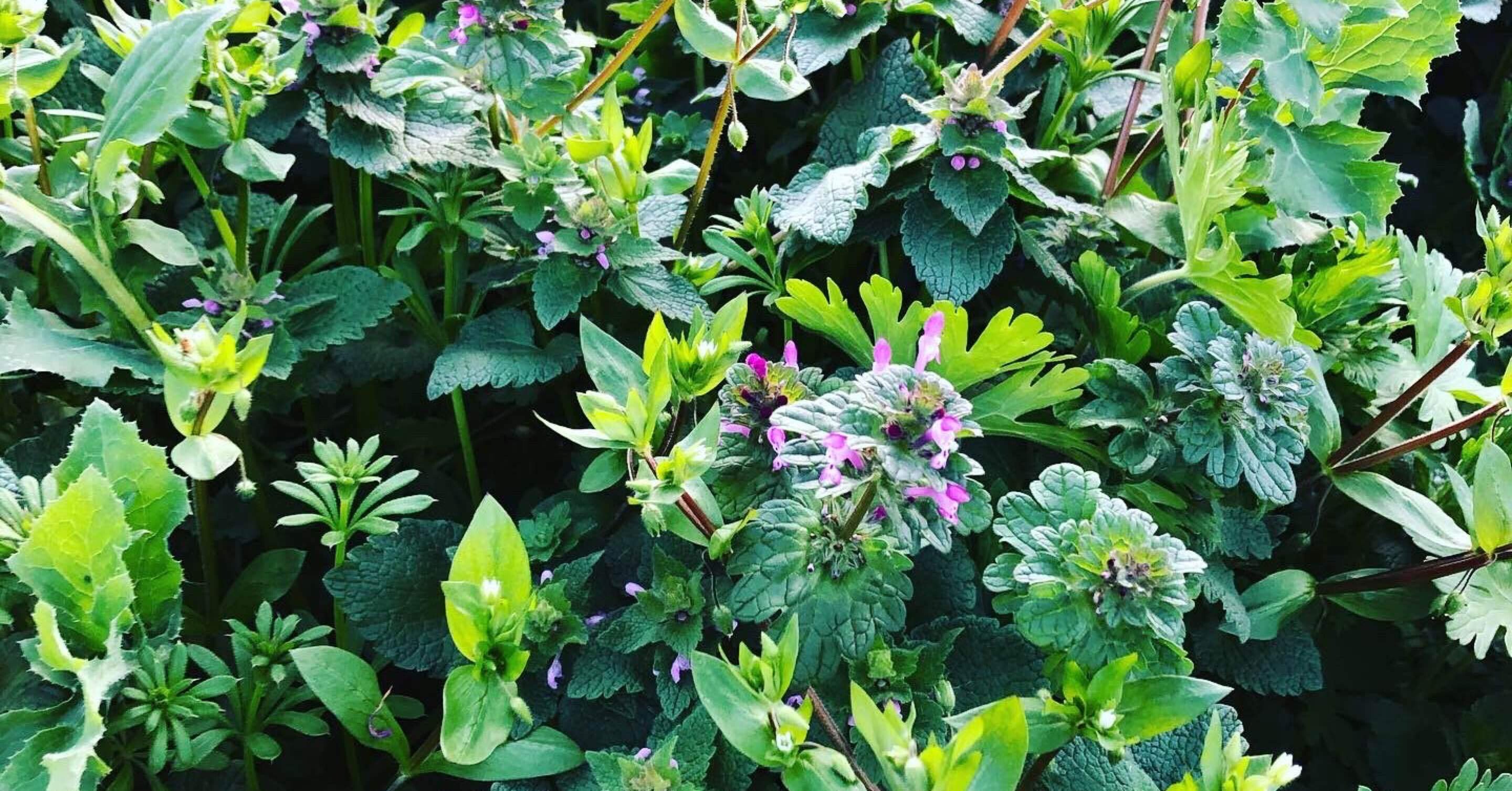 家族の回想 スピリチュアルと内観 Yumi4572 Note