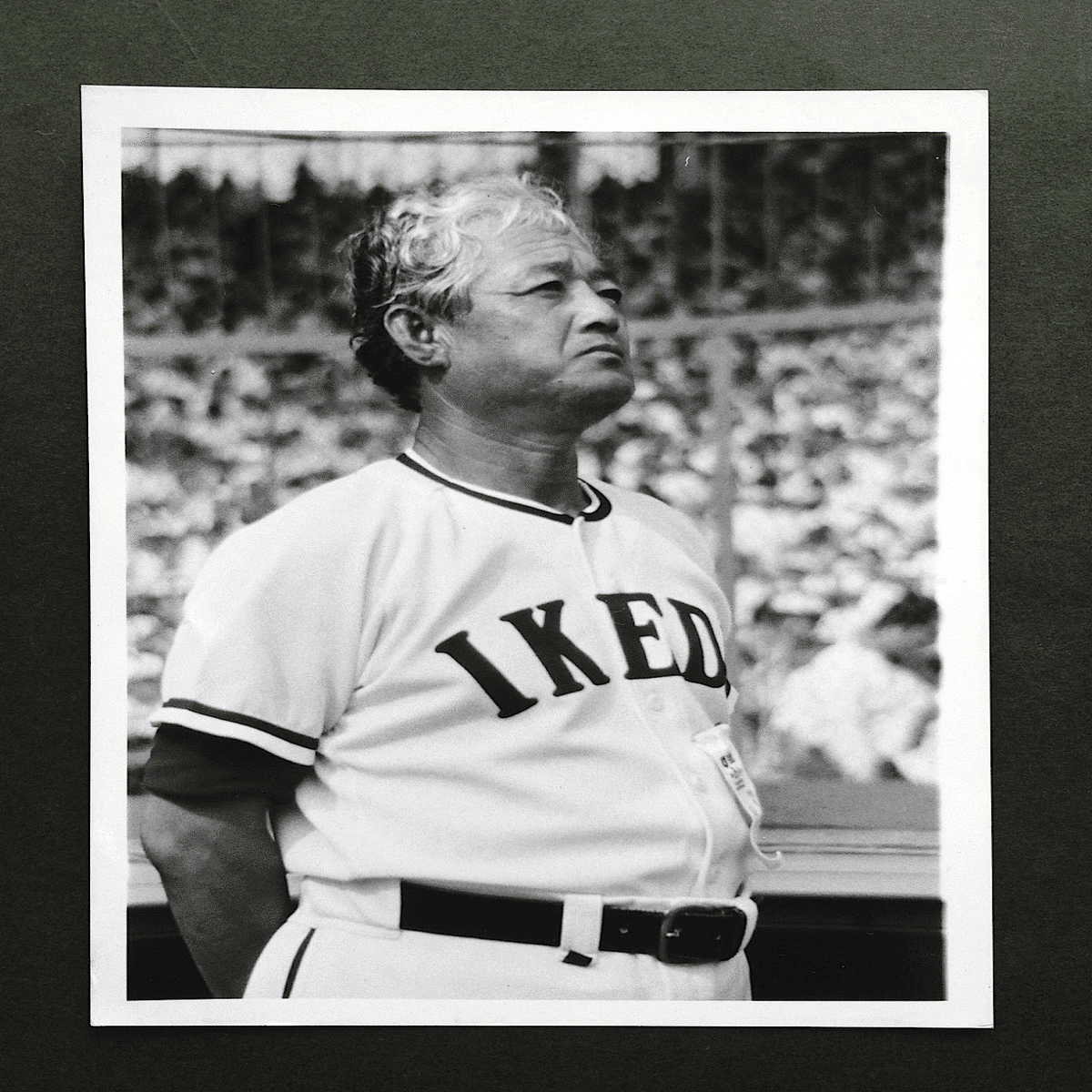 高校野球 徳島県 池田高校 蔦監督 サイン色紙 池田高校野球部元監督 蔦