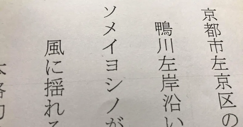 左岸ってどっちやねん問題 Wakuimakoto Note