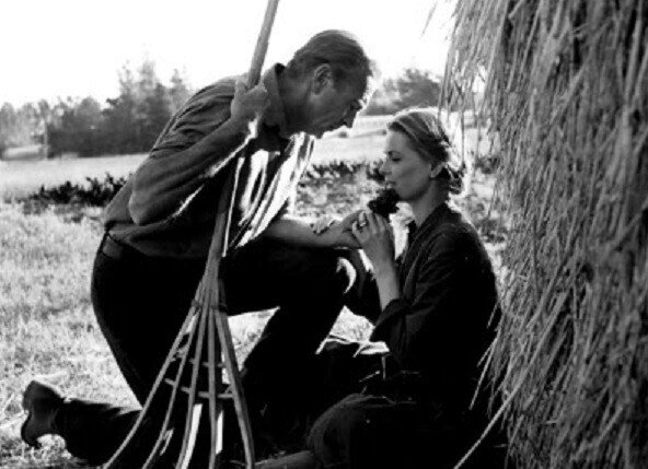 友情ある説得 秋 Note