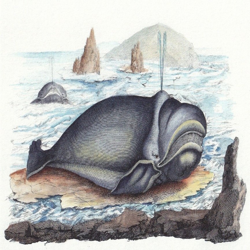 ポストカード12種類追加しました Dubhe Note