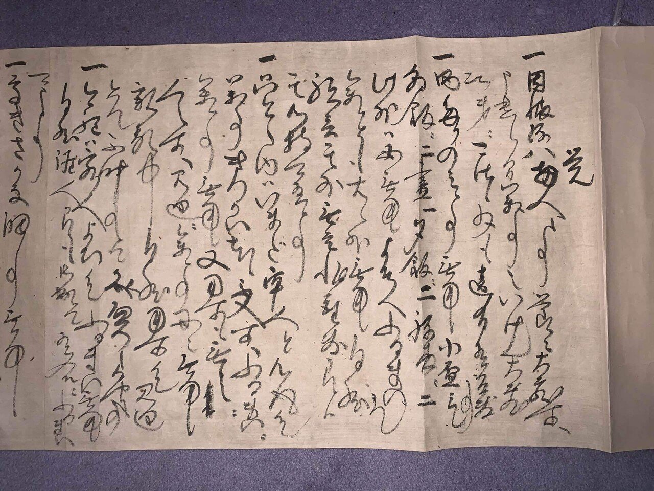 4902850237017.jpg