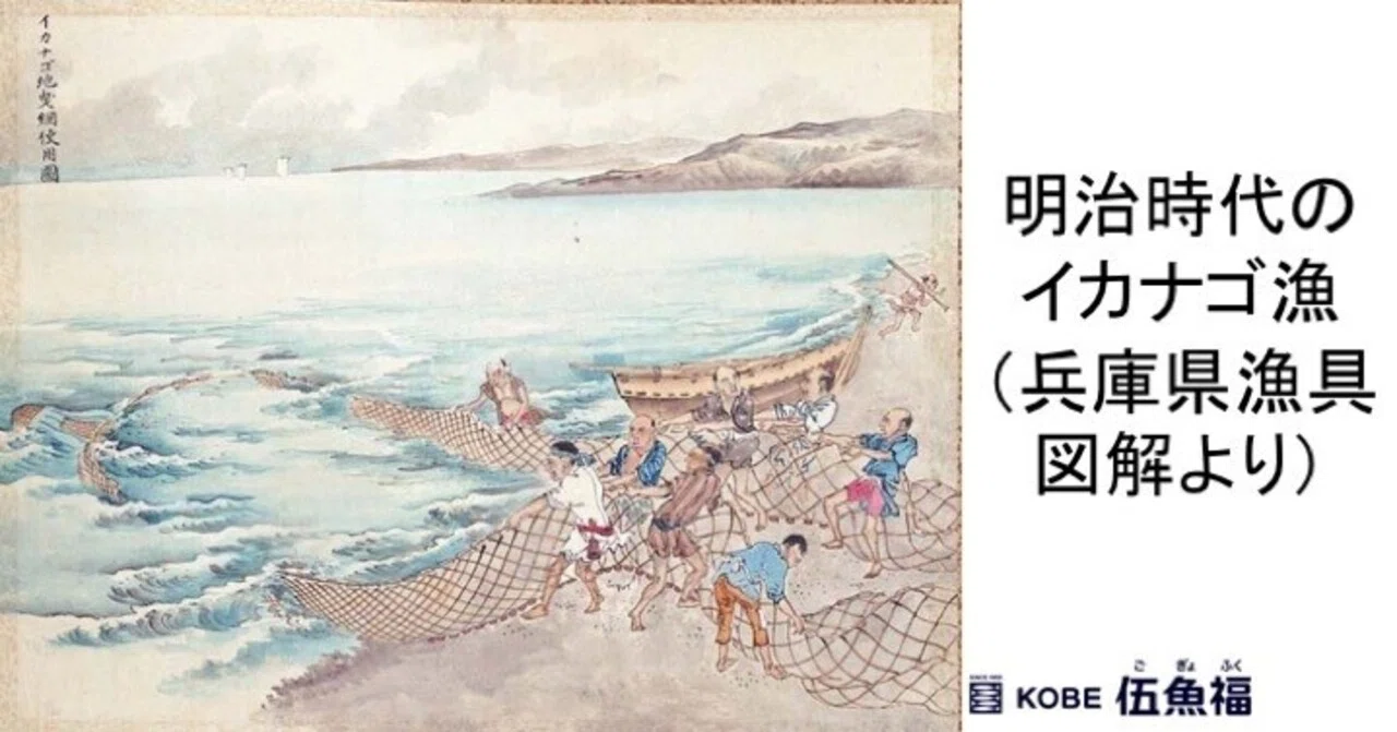 明治時代のイカナゴ漁（「兵庫県漁具図解」より）｜山中勧／伍魚福社長