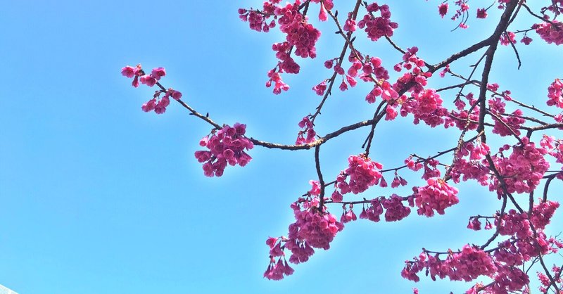 根気より呑気でたのしむ外国語 日記 Takafumi Ito Note