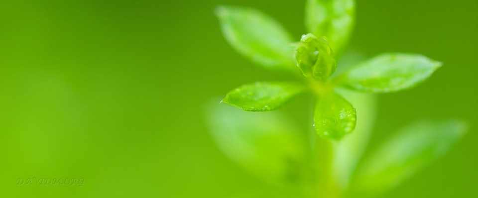 季語がもっている本質を理解しよう やまだみのる Note