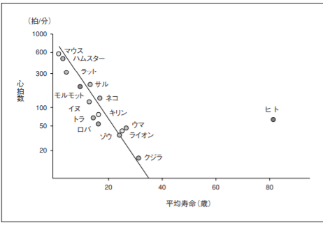 点鼻薬は動悸を和らげる可能性があります