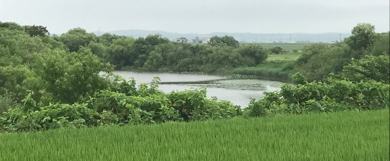 北海道妹背牛町を踏破＜日本全市町村踏破＞