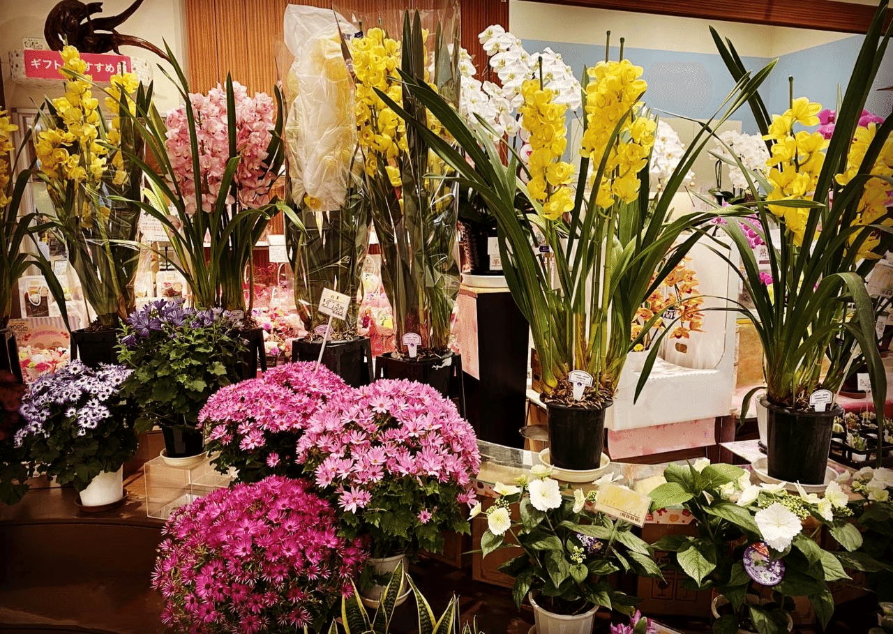 1分で読める朝の詩 春の花屋 花屋さんに行くと本当に迷ってしまう 色と香りと名前の可愛らしさ 気分は上がる 詩 詩人 ポエム 現代詩 自由詩 恋愛詩 恋愛 恋 Art 東 龍青 アズマ リュウセイ Note 1分で読める朝の詩 春の花屋 花屋さんに行くと本当に迷ってしまう 色と香りと名前の可愛らしさ 気分は上がる 詩 詩人 ポエム 現代詩 自由詩 恋愛詩 恋愛 恋 Art 東 龍青 アズマ リュウセイ Note