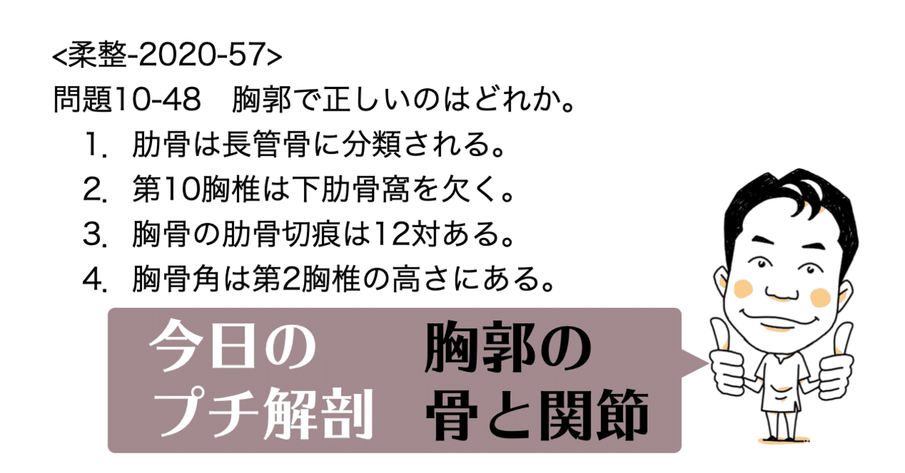 今日のプチ解剖 胸郭で正しいのはどれ 黒澤一弘 Note